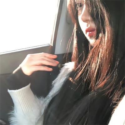 温德斯：狂野旅程